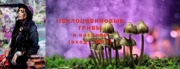мяу мяу мука Гусь-Хрустальный