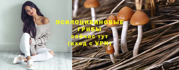 марки lsd Дмитровск