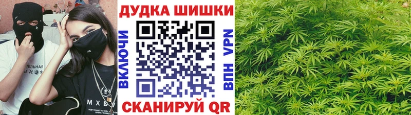 Купить закладки  Котельники  Каннабис семена 